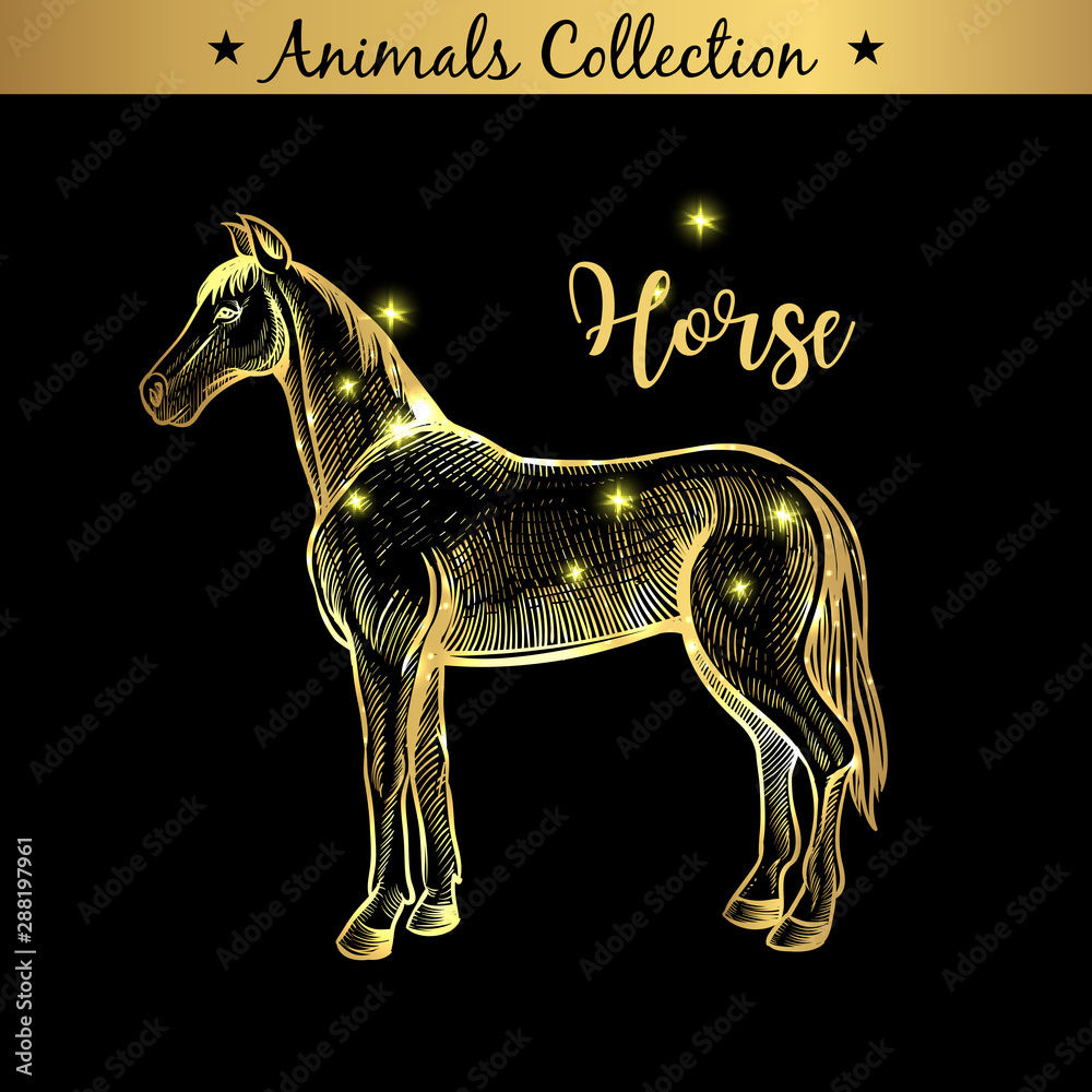 Golden and royal Hand Drawn Emblem of farm Horse animal. Butchery shop branding, meat products. Butcher market. Gold Outline Sketch and lettering. Contour drawing concept