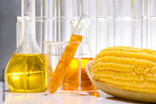 Canvastavla Biofuel from corn, oil and biofuel solution.