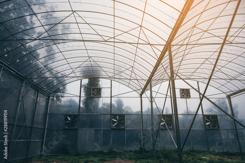 Modern closed agriculture s...