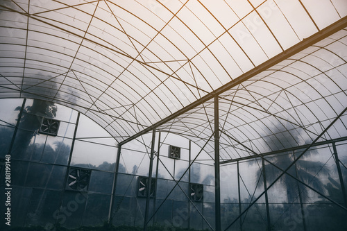 Modern closed agriculture s...