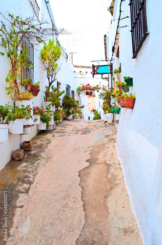 Street whitewashed houses decorated with plants and pots on their walls © Tomas