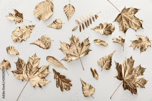 top view of golden leaves on white background