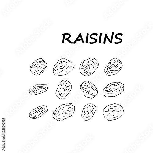 Informative poster sketch set inscription raisins.