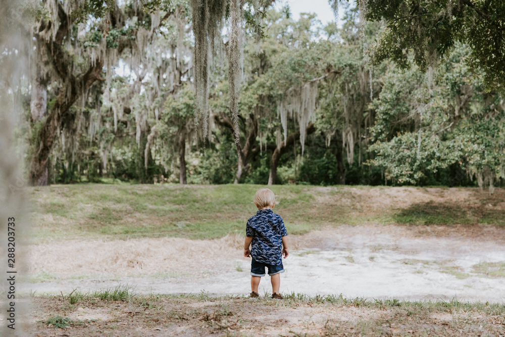 Adorably Happy and Cute Little Caucasian Toddler Baby Boy with Long Blond Hair Laughing, Playing, and Running Outside in Green Nature at the Park of Big Mature Oak and Moss Trees Adorably Happy and Cute Little Caucasian Toddler Baby Boy with Long Blond Hair Laughing, Playing, and Running Outside in Green Nature at the Park of Big Mature Oak and Moss Trees