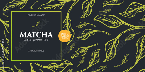 Matcha green tea. Organic Japanese Product. Banner with hand draw leaves on the background.