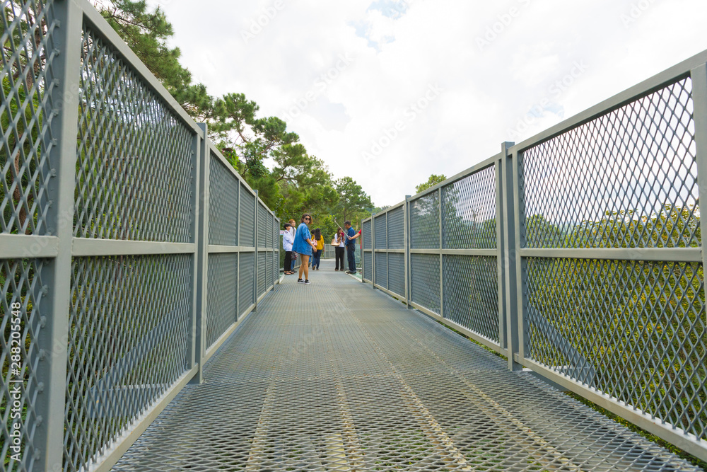 The Canopy Walkway at Queen Sirikit Botanic garden The Canopy Walkway at Queen Sirikit Botanic garden