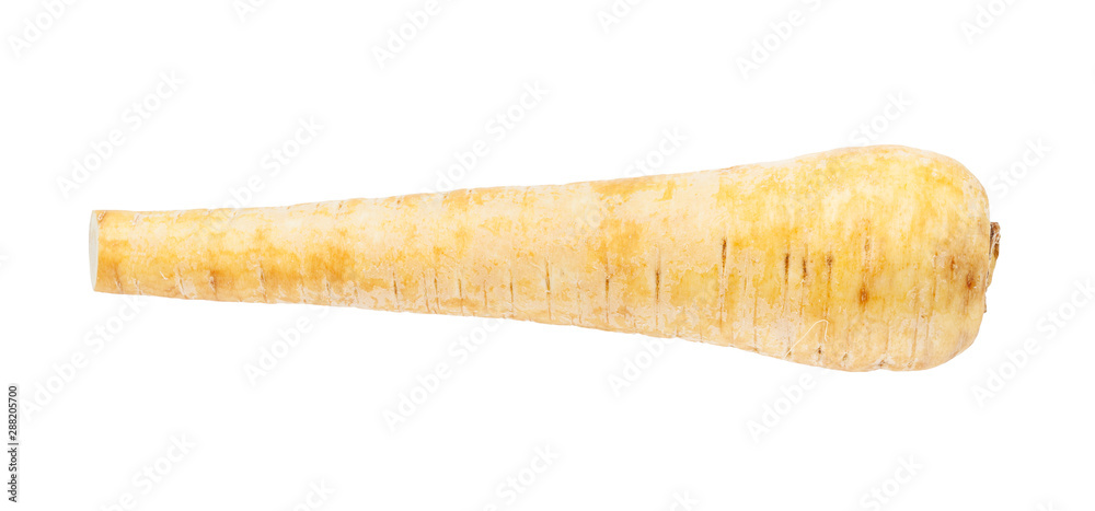 ripe fresh root of Parsnip (pastinaca sativa) ripe fresh root of Parsnip (pastinaca sativa)