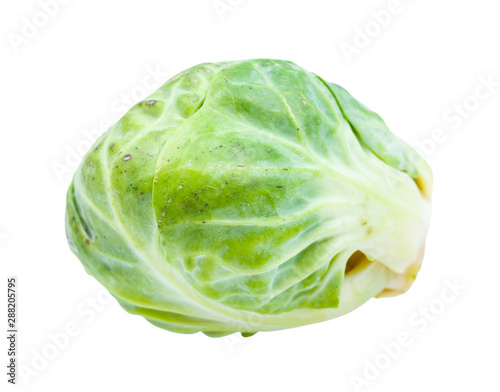 fresh brussels sprout isolated on white