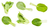 various roots and leaves of bok choy cabbage