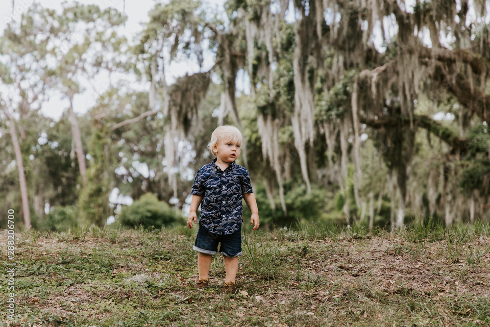 Adorably Happy and Cute Little Caucasian Toddler Baby Boy with Long Blond Hair Laughing, Playing, and Running Outside in Green Nature at the Park of Big Mature Oak and Moss Trees Adorably Happy and Cute Little Caucasian Toddler Baby Boy with Long Blond Hair Laughing, Playing, and Running Outside in Green Nature at the Park of Big Mature Oak and Moss Trees