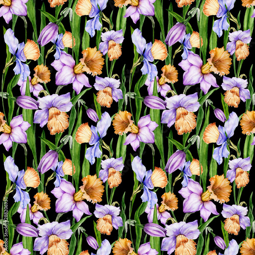 Beautiful narcissus flowers with leaves on black background. Seamless spring ...
