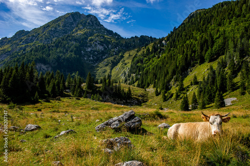Slowenien 2019 Sommer Wandern Alpen Panorama