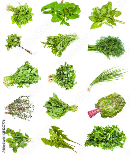 various bunches of fresh edible herbs isolated