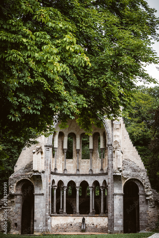 Obraz premium Alte Kirchenruine 