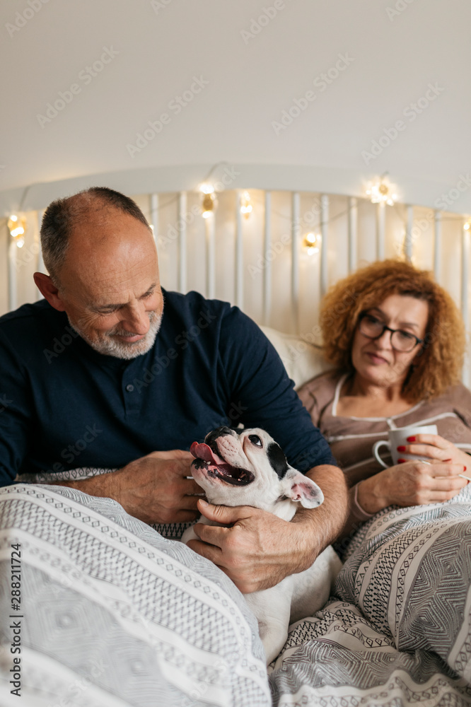 Senior Couple in bed with their Dog Senior Couple in bed with their Dog