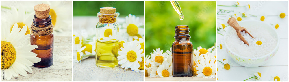 Collage of different pictures of chamomile flower extracts. Homeopathy. Selective focus. - obrazy, fototapety, plakaty 