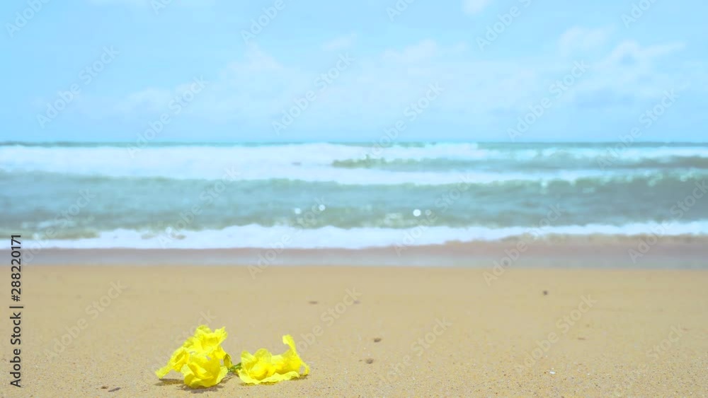 Sea of flowers in Phuket sea beach beautiful Thailand, Background. Sea of flowers in Phuket sea beach beautiful Thailand, Background.