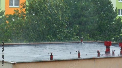 Heavy rain on the roof of the house and trees bending in the strong wind - with the sound of rain and gusts of wind.(loopable)