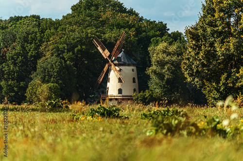 Windmill between some trees