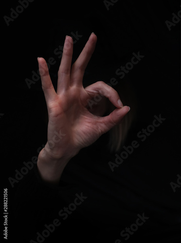 Okay or ring gesture, a woman showing an Ok finger sign © Savien Photo Lab