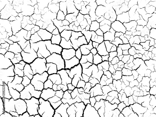 The cracks texture white and black. Vector background.Cracked earth. Structure of cracking. Cracks in dry surface soil texture. 