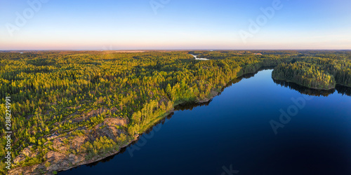 Endless wild forest and cle...