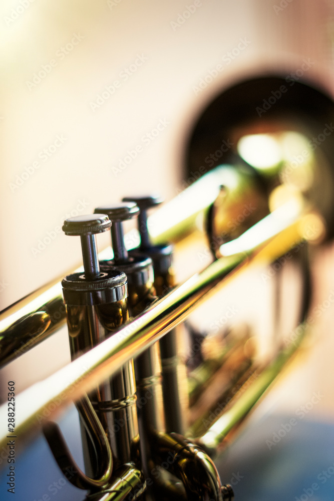 Obraz premium trompet valves on a blurry background