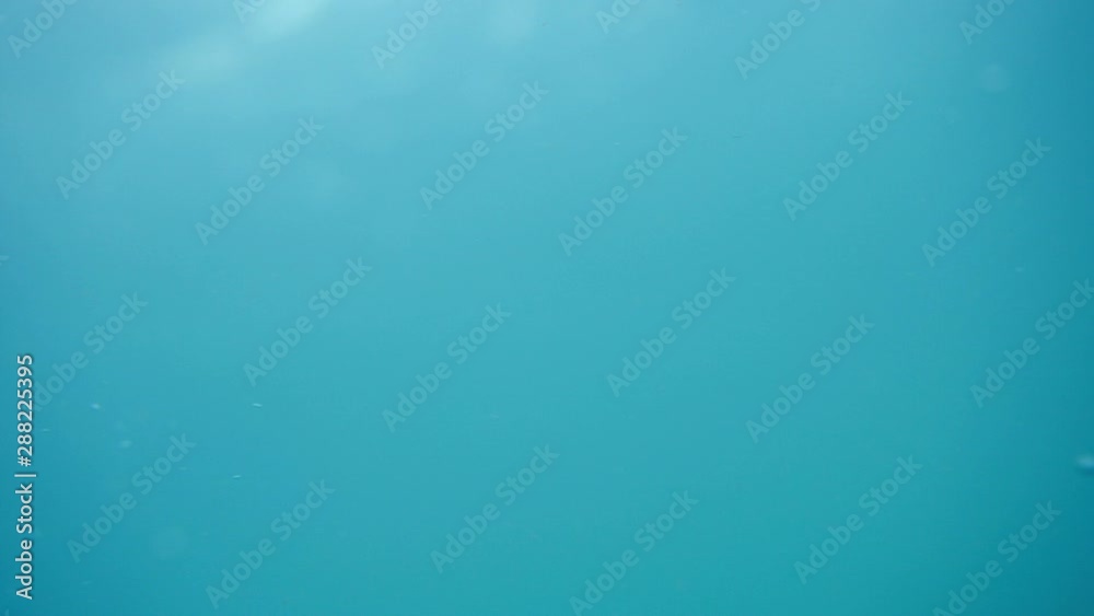 Bubbles rising to the surface. Air bubbles in water in sea (underwater shot), good for backgrounds. Slow motion. Bubbles rising to the surface. Air bubbles in water in sea (underwater shot), good for backgrounds. Slow motion.