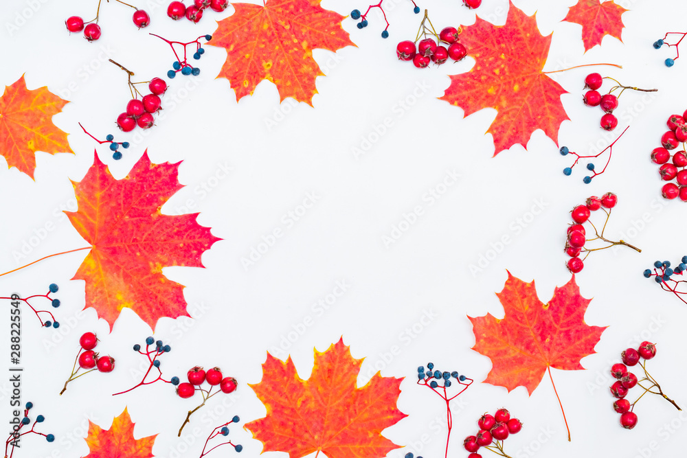 Flat lay frame with colorful autumn leaves and berries on a white background