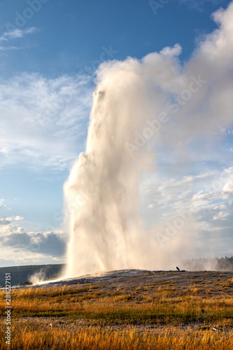 Old Faithful Geyser Erupts at Yellowstone National Park
