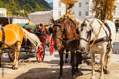 Salzburg, Austria - September 8, 2018: The horse drawn carriages in old town are the popular tourist leisure transport.