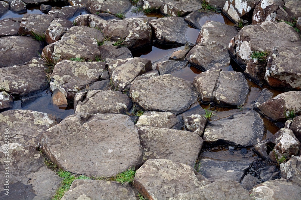 The Giant's Causeway, Northern-Ireland