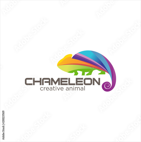 Brookesia, Chamaeleoninae, Rhampholeon, palleon, Calumma, Chamaeleo, Furcifer, Trioceros, Archaius, Colorful Chameleon Logo Icon Design Vector 