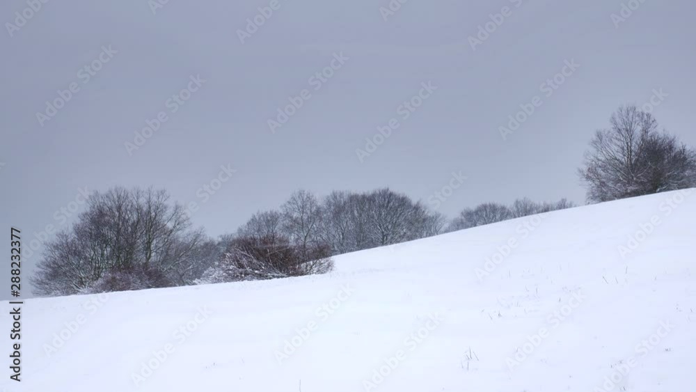 Heavy snowfall and blizzard -The microphone captures strong wind gusts Heavy snowfall and blizzard -The microphone captures strong wind gusts
