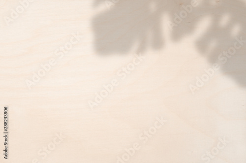 Organic Monstera Leaves, Shadow Overlay Effects, Window, Plant, Wood, Plywood, Leaf Shadows, Wall, Stationary Mock-ups, Posters, Wall Art, Design Presentation