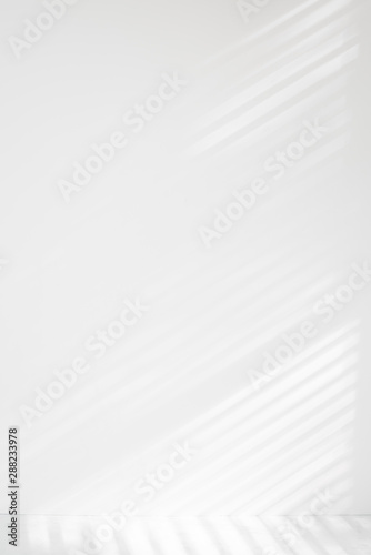 Subtle ethereal window light and shadows, wall, interior