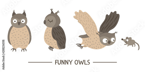 Vector set of cartoon style hand drawn flat funny owls in different poses. Cute illustration of woodland birds for children’s design. .