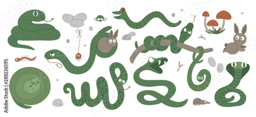 Vector set of cartoon style hand drawn flat funny snakes in different poses. Cute illustration of woodland animals for children’s design. Forest serpents picture.