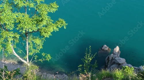 Fish in famous reservoir Piva Lake (Pivsko Jezero), summer view in Montenegro. photo