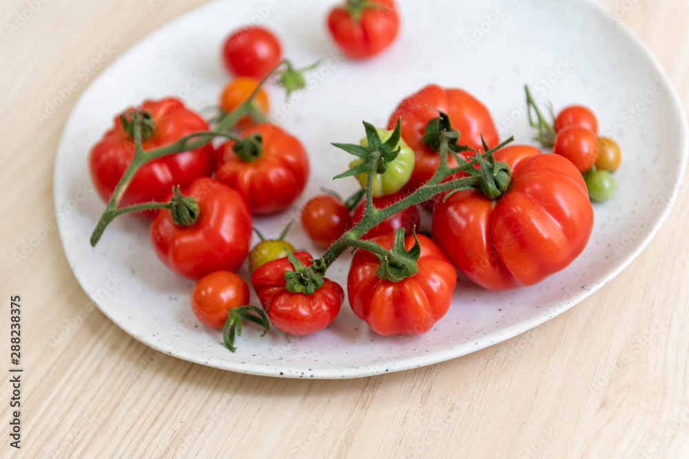 Freshly Harvested Various Tomatoes on Plate Freshly Harvested Various Tomatoes on Plate