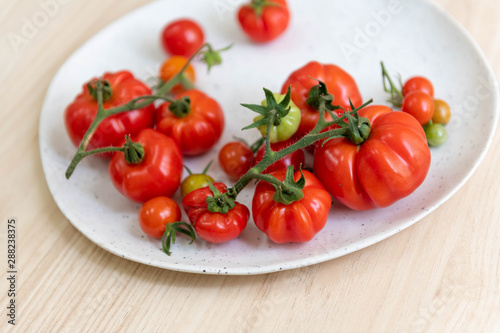 Freshly Harvested Various Tomatoes on Plate