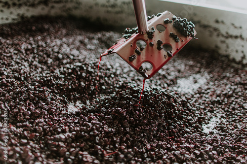 Canvastavla winemaker harvest punchdown tool with red grapes
