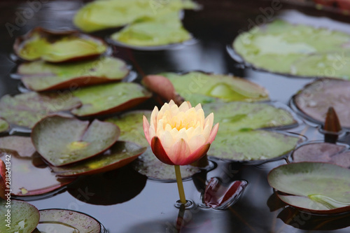 Ba Na Hills view Danang, Vietnam 2018