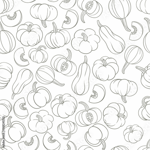 Pumpkins vintage grey outline on white background seamless pattern