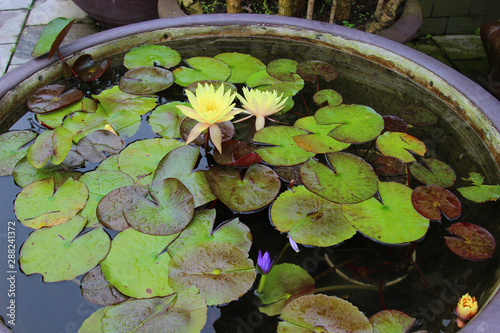 Ba Na Hills view Danang, Vietnam 2018