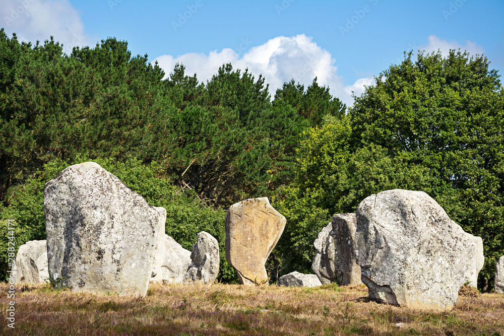 Prehistoric megalithic menhirs alignment in Carnac, Brittany. France Prehistoric megalithic menhirs alignment in Carnac, Brittany. France