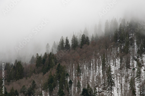 neige et brouillard en montagne