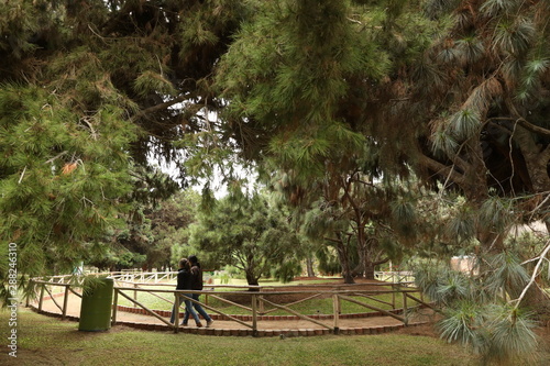 LIMA, Peru, 3 june 2019. Flowers and plants at Parque de Las Leyendas zoo