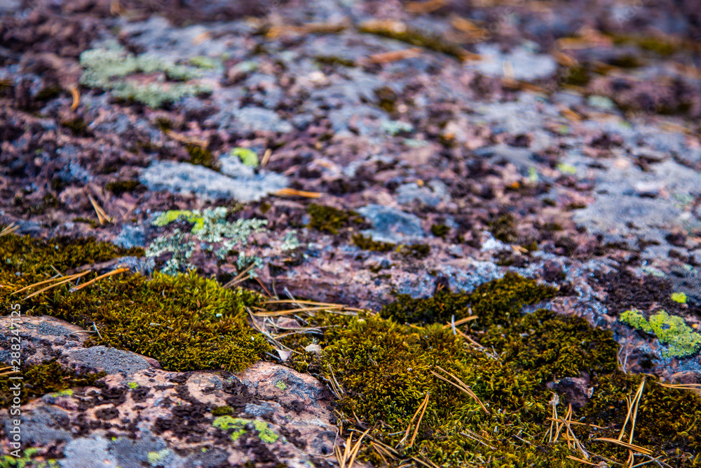 Old stone covered with moss Old stone covered with moss