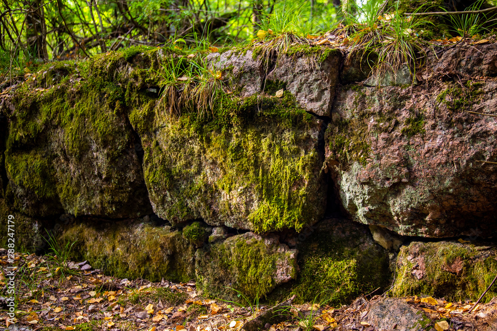 Old stone covered with moss